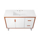 Energize Bathroom Vanity Basin Included