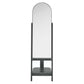 Ascend Standing Mirror