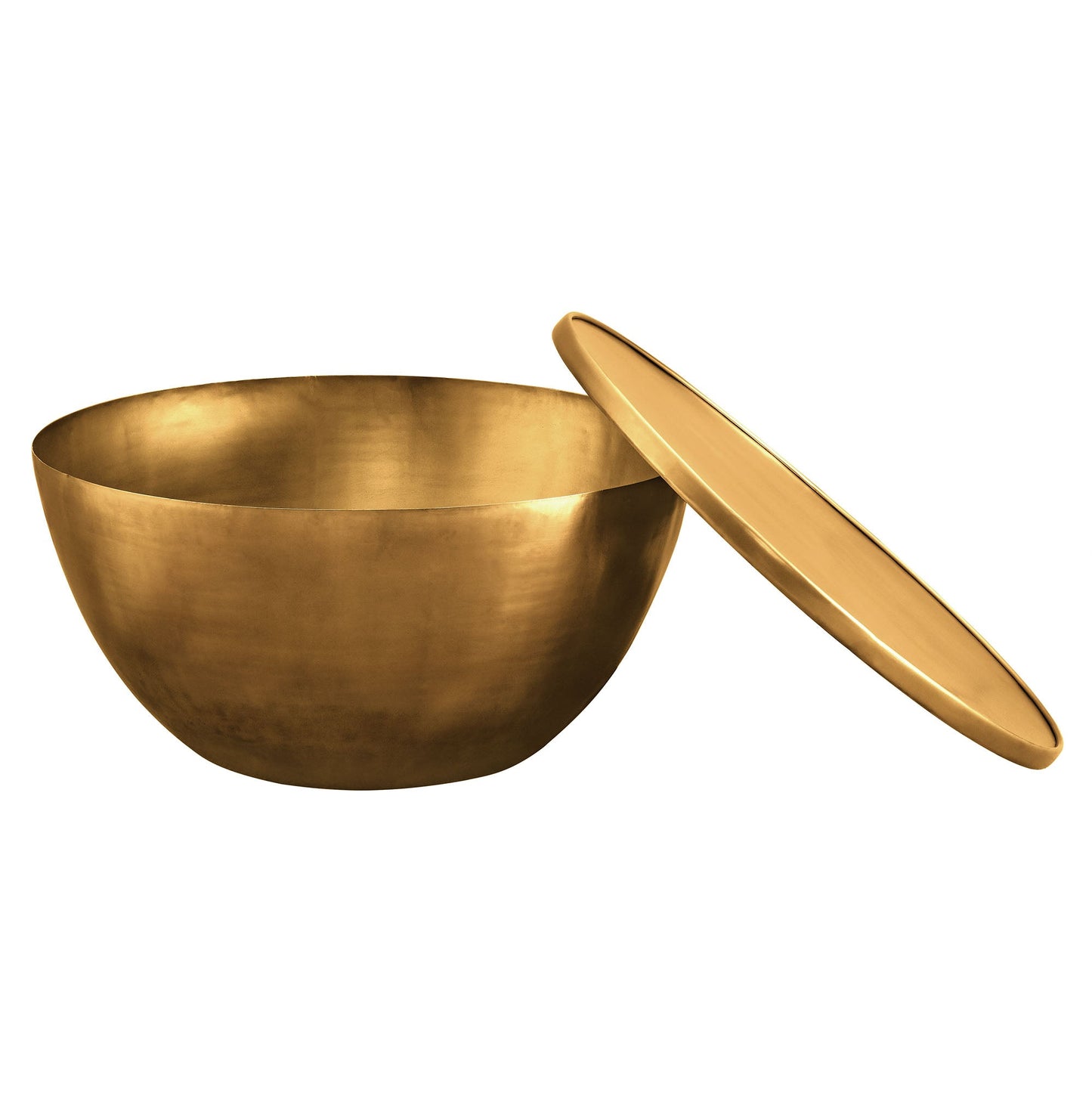 Viora 32 Inch Metal Storage Coffee Table