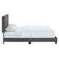 Celine Channel Tufted Performance Velvet Bed