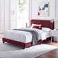 Celine Channel Tufted Performance Velvet Bed