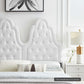 Augustine Tufted Performance Velvet Headboard