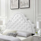 Diana Tufted Performance Velvet Headboard