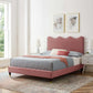 Current Performance Velvet Platform Bed With Wood and Gold Legs